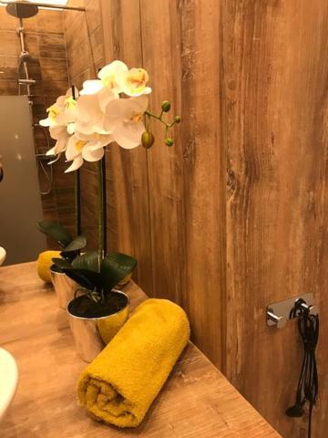 Apartament Gosia นือซา ภายนอก รูปภาพ